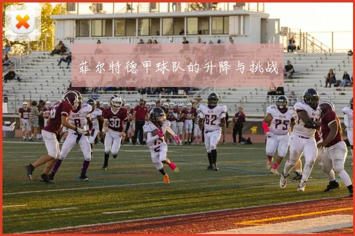 菲尔特德甲球队的升降与挑战