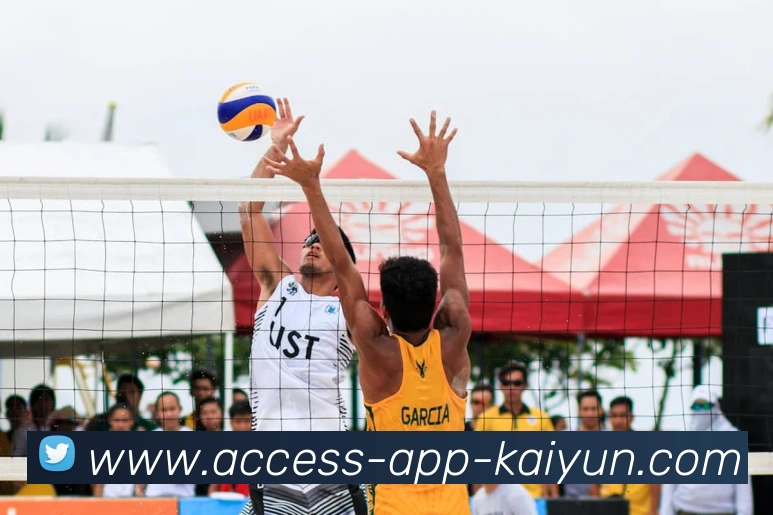 开云app服务体系